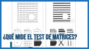 ¿Qué mide el test de matrices?